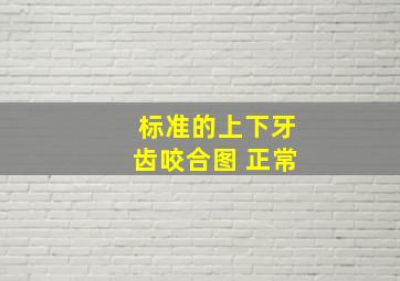 标准的上下牙齿咬合图 正常